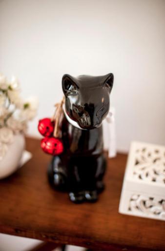 The Black Kitten II Калдас да Райна Екстериор снимка